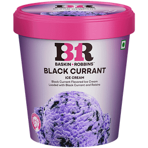 Baskin Robbins Ice Cream Black Currant 450 Ml