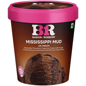Baskin Robbins Ice Cream Mississippi Mud 450 Ml