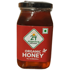 24 Mantra Organic Wild Honey 500 G