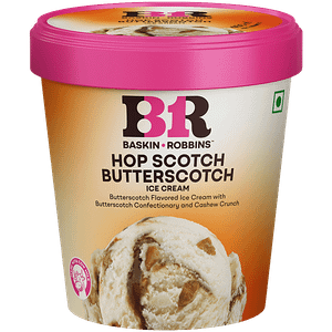 Baskin Robbins Hop Scotch Butterscotch Ribbon Ice Cream 450 Ml Tub