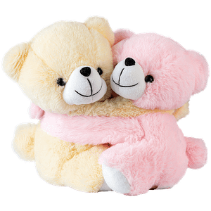 Dimpy Stuff Couple Teddy Bear Pink Butter 1 Pc