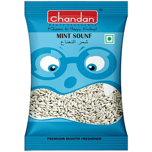 Chandan Mint Mukhwas 100 G Pouch