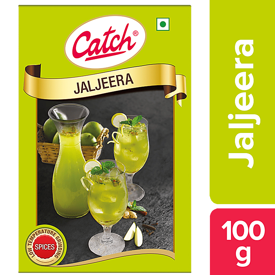 Catch Jaljeera 100 G Carton