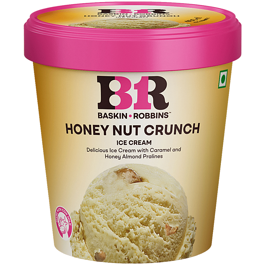 Baskin Robbins Ice Cream Honey Nut Crunch 450 Ml