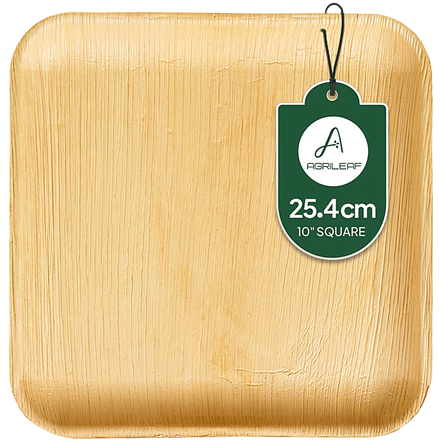 Agrileaf 10 Inch Square Disposable Areca Palm Leaf Plates Eco Friendly Dinner Plates Pack Of 10 10 Pcs