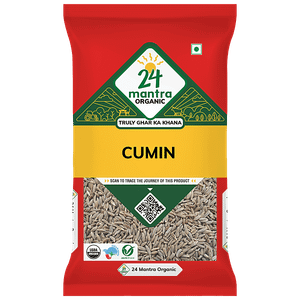 24 Mantra Organic Cumin Seed Whole 100 G Pouch