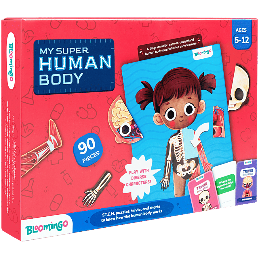 Bloomingo My Super Human Body Magnetic Puzzle Trivia Cards 1 Pc